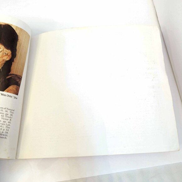 Children's History Paperback Books, Ancient Egypt History, Mummies, King Tut - Picture 12 of 16